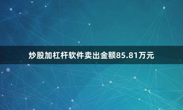 炒股加杠杆软件卖出金额85.81万元