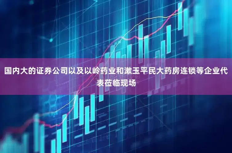 国内大的证券公司以及以岭药业和漱玉平民大药房连锁等企业代表莅临现场