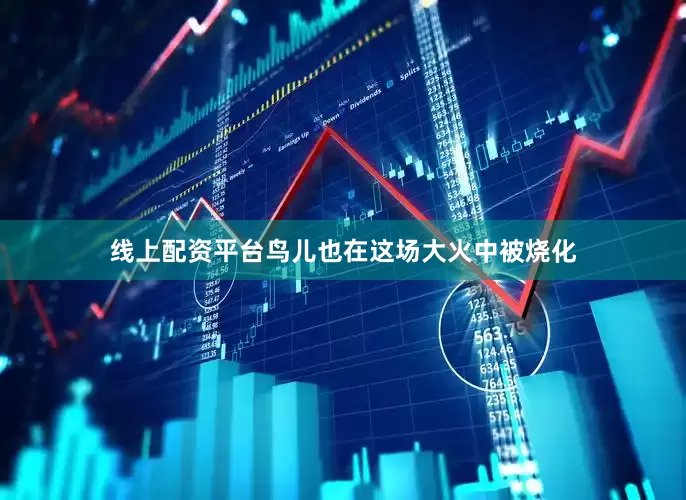 线上配资平台鸟儿也在这场大火中被烧化