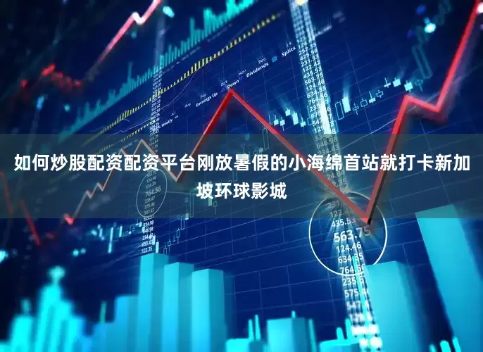 如何炒股配资配资平台刚放暑假的小海绵首站就打卡新加坡环球影城