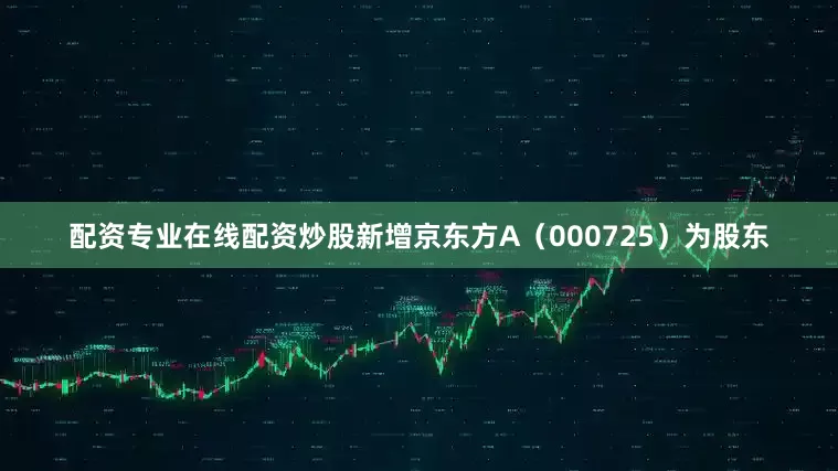 配资专业在线配资炒股新增京东方A（000725）为股东