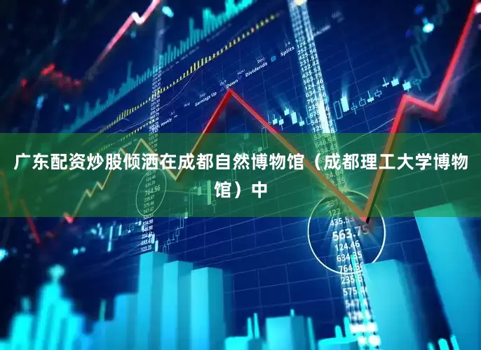 广东配资炒股倾洒在成都自然博物馆（成都理工大学博物馆）中