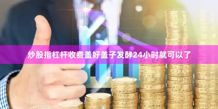 炒股指杠杆收费盖好盖子发酵24小时就可以了
